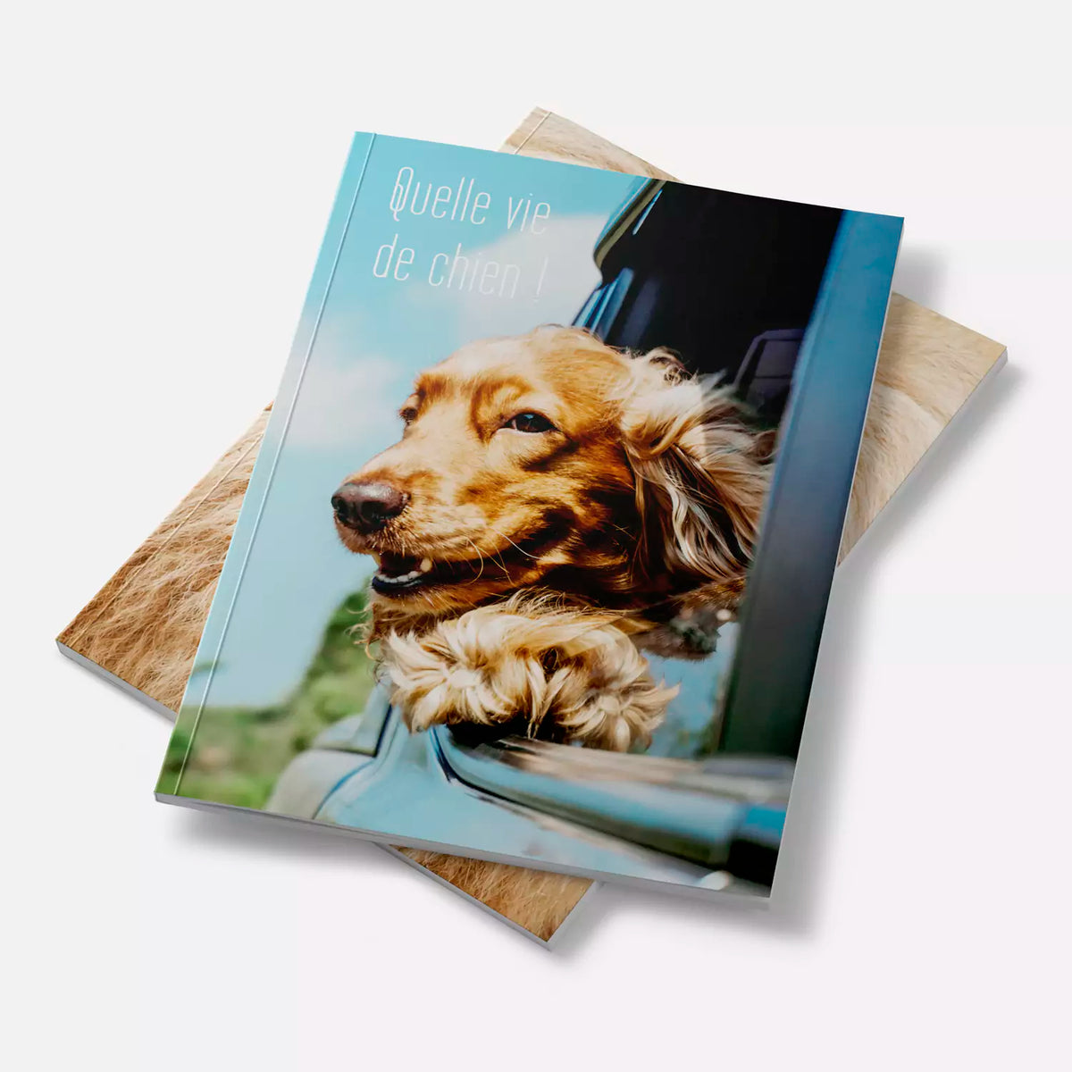 Album souple 15x20 vertical
